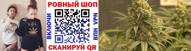 Конопля Сосновоборск